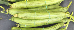 Expand Your Garden’s Uses and Artistic Flair by Growing Gourds