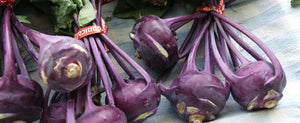 Growing Kohlrabi: A Hardy, Versatile and Visually Stunning Veggie