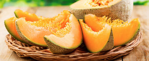 Growing Melons: The Art of Growing Cantaloupe