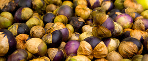 Growing Tomatillos