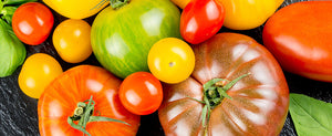 growing tomatoes