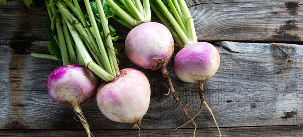 How To Grow Turnip Plants