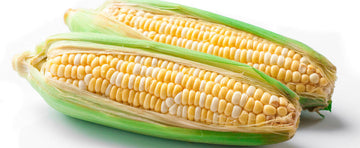 What are Hybrids, GMO's and Heirlooms?