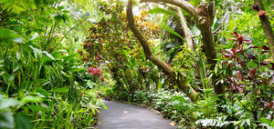 National Tropical Botanic Garden Hawaii
