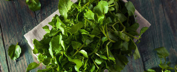 Watercress Herbs: Versatile, Nutritional and Delicious!