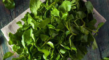 Watercress Herbs: Versatile, Nutritional and Delicious!