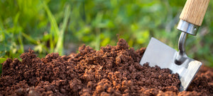 breaking ground with spade in soil