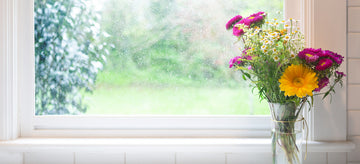 cut flowers in vase by window