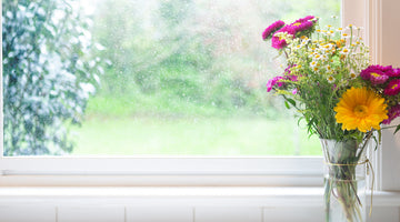 cut flowers in vase by window