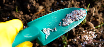 fertilizing garden with soil nutrients in pellet form