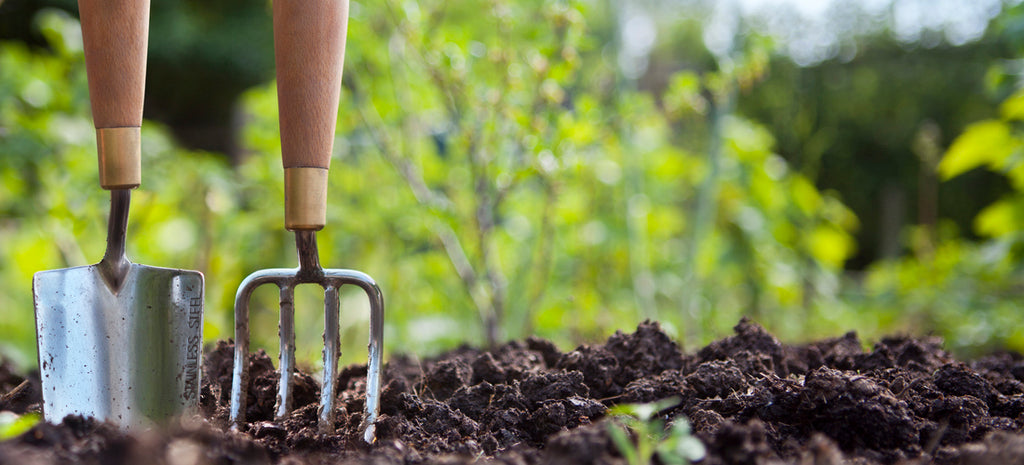 The Best Vegetables to Grow in Small Spaces