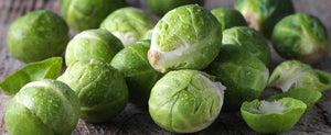 Growing Brussels Sprout: Everything You Need To Know