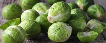 Growing Brussels Sprout: Everything You Need To Know