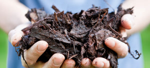 hands holding mulch