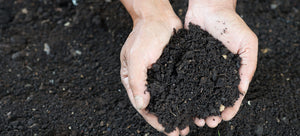 hands holding rich black composted soil