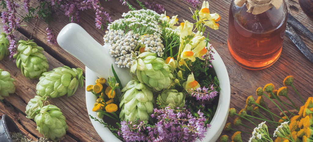 Can These 12 Herbs Ease Stress, Anxiety, and Depression?