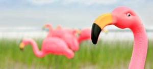 pink plastic flamingos classic garden ornaments