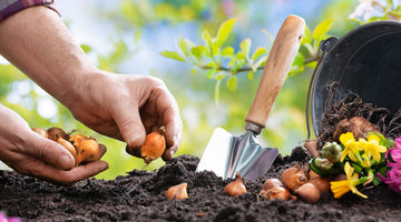 Our 10 Favorite Companion Plants for Spring Bulbs