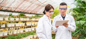 scientists studying hybrid plants