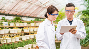 scientists studying hybrid plants