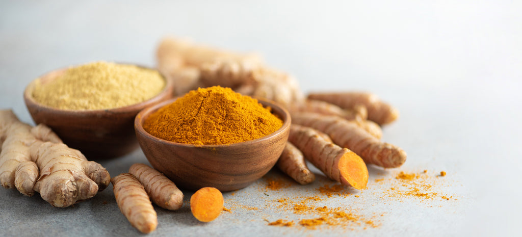 Trending Medicinal Plants: Turmeric and Ginger