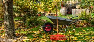 wheelbarrow and rake in fall garden