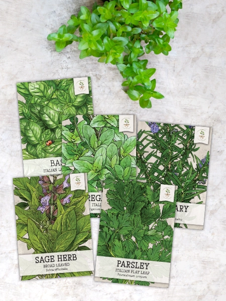 valerian plant seeds Valerian Herb Seeds For Planting (Valeriana officinalis) Seed Needs – Seed Needs LLC