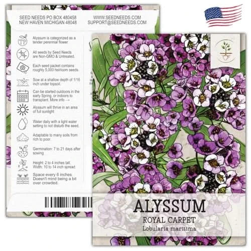 planting alyssum seeds indoors Royal Carpet Alyssum Seed For Planting Lobularia maritima