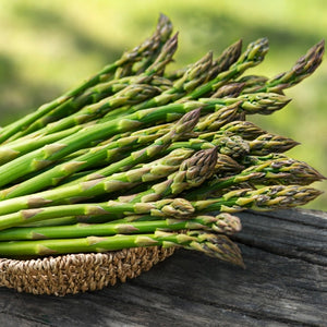 Mary Washington Asparagus Seeds For Planting (Asparagus officinalis)