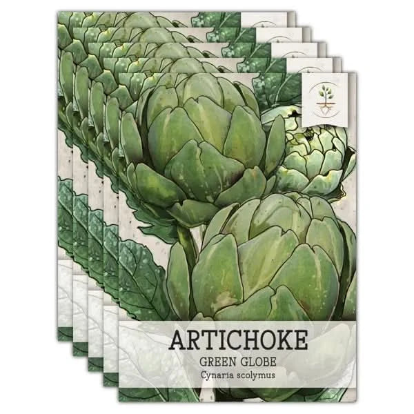 Green Globe Artichoke Seeds For Planting (Cynaria scolymus)