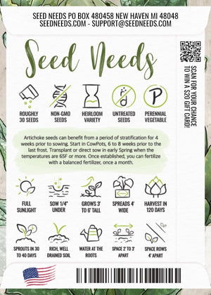 Green Globe Artichoke Seeds For Planting (Cynaria scolymus)