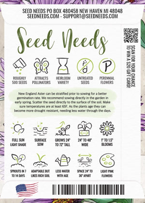 New England Aster Seeds For Planting (Aster novae-angliae)
