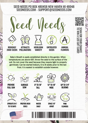 Pink Baby's Breath Seeds For Planting (Gypsophila elegans)