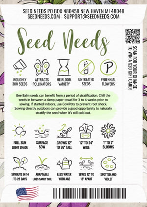 Spotted Bee Balm Seeds For Planting, Horsemint (Monarda punctata)