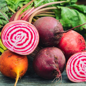 Chioggia Beet Seeds For Planting (Beta vulgaris)