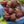 Detroit Dark Red Beet Seeds For Planting (Beta vulgaris)