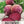 Detroit Dark Red Beet Seeds For Planting (Beta vulgaris)