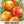 Golden Detroit Beet Seeds For Planting (Beta vulgaris)