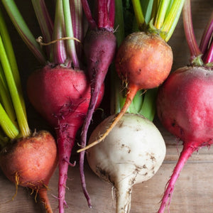 Rainbow Mixed Beet Seeds For Planting (Beta vulgaris)