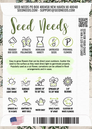 Bishop's Flower Seeds For Planting (Ammi majus)