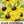 Black-Eyed Susan Seeds For Planting (Rudbeckia hirta)