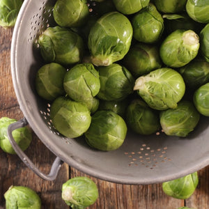 Brussels Sprout Seeds For Planting, Long Island Improved (Brassica oleracea)