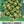 Brussels Sprout Seeds For Planting, Long Island Improved (Brassica oleracea)