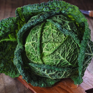 Savoy Perfection Cabbage Seeds For Planting (Brassica oleracea)