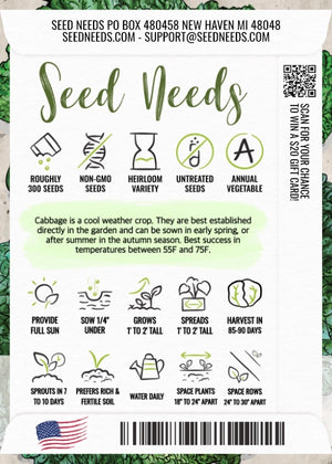 Savoy Perfection Cabbage Seeds For Planting (Brassica oleracea)