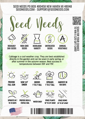 Late Flat Dutch Cabbage Seeds For Planting (Brassica oleracea)