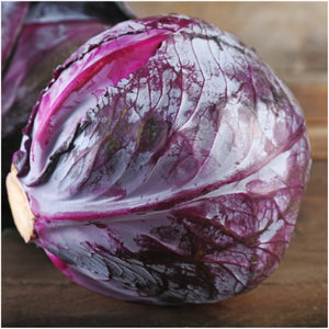 Red Acre Cabbage Seeds For Planting (Brassica oleracea)
