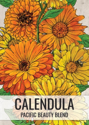 Calendula, Pacific Beauty Mixture (Calendula officinalis)