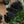 Black Pansy Seeds For Planting 