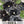 Black Pansy Seeds For Planting 